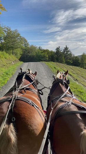 Jen Hewitt on TikTok