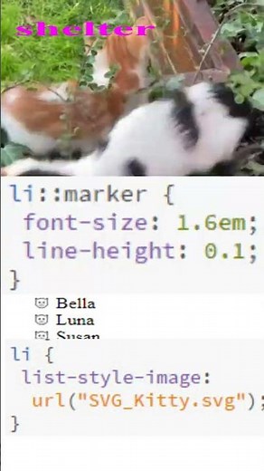 list style image cat CSS SVG
