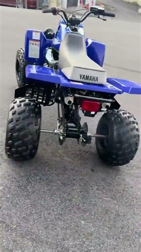 Clean OEM Banshee 🦟 #yamaha #banshee #atv #fourwheeler