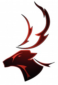 Texas Exotic Hunting