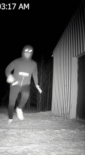 Our Trail Cam Caught This At 3AM