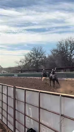 Breakaway Roping Adventures: Fun and Laughter