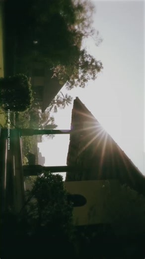 Demonz Signature 4ever Wedding on Instagram: "Feel The Bliss🌞RAJIMOL❤️VIJIN #savethedate❤️ ❤️From @forever_wedding_stories 📸By @paul_walkers_demon 🤙🏻Ring Us On 8606148316 #keralagram #wedding #kerala #keraladiaries"