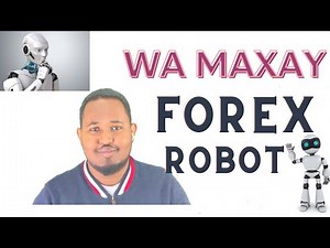 Waa maxay Forex robot
