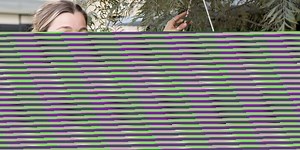 Canine Body Language | Dog Behaviour | Pet Care | RSPCA Queensland