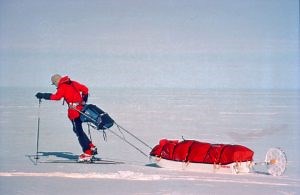 About 2041 - 2041 Foundation