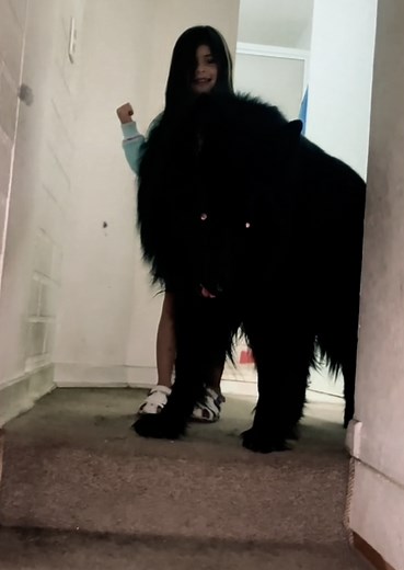 El Humor de los Perros Panzones y sus Memes Divertidos