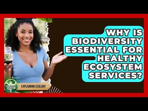 Why Is Biodiversity Essential For Healthy Ecosystem Services? - Explaining Ecology