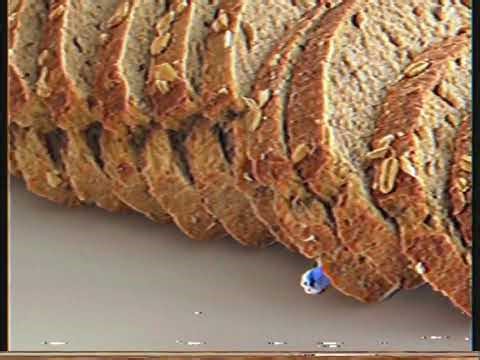 Bread & Puppet