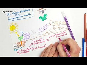 A quoi ça sert de manger ?