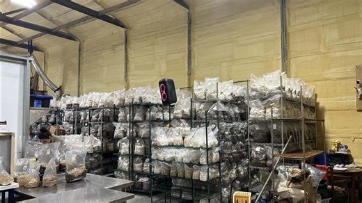 Lowcountry drought strains farmers as pastures dry up, some move operations indoors