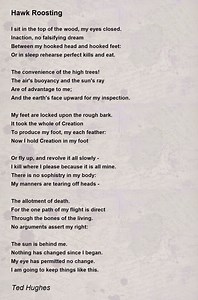 Hawk Roosting - Hawk Roosting Poem by Ted Hughes