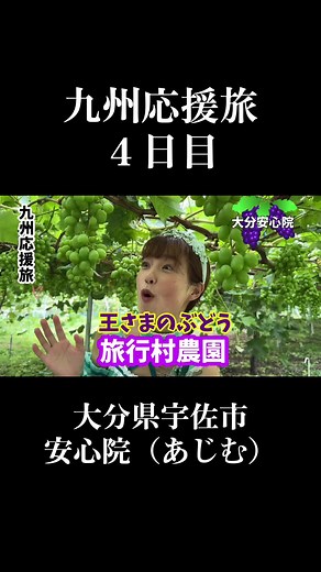 九州応援旅 4日目: ぶどう狩りとシャインマスカットの美味しさを満喫