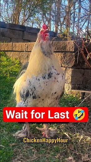 “Mariya Silent, Murga Active 🤣”