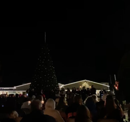 30 reactions | Safe Harbor Ohio on Reels | Facebook