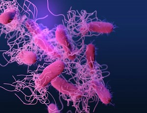 An Imaging Tool for Seeing Bacterial Infections in the Body | Microbiology