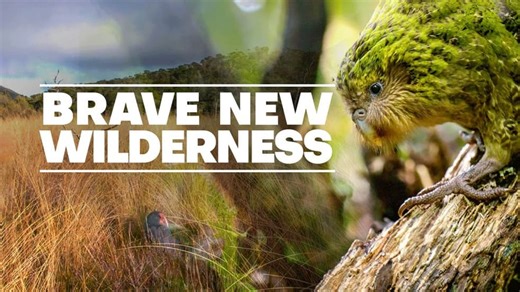 Brave New Wilderness (2020)