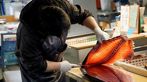 Lab-Grown Fish Enters Supermarket Shelves This Spring