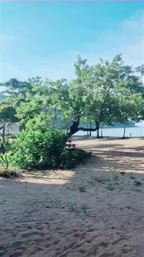 Os vídeos de Mariana (@fabianafilhosdate) com Ouvi Dizer - Melim