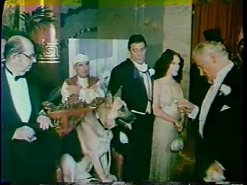 Won Ton Ton The Dog Who Saved Hollywood 1976 trailer