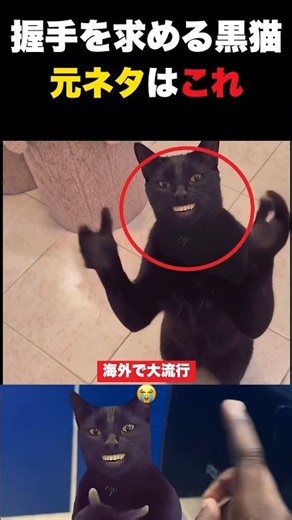 【海外ミーム】拍手して握手を求めてくる黒猫の元ネタ #海外 #猫のいる暮らし #猫のいる生活 #海外ミーム #黒猫 #拍手する猫 #ミーム #ai #雑学