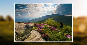 Johnny Nicholas Porpora Obituary January 11, 2024 - Moloney Family Funeral Homes, Inc.