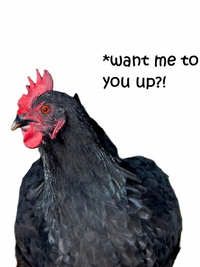 Understanding Alektorophobia: The Fear of Chickens