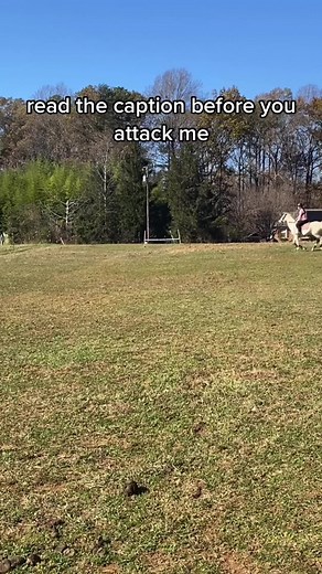 first off, this was entirely my fault. trixie is a SAINT for this. basically, i thought she was gonna refuse so my dumbass stopped riding and then she did infact not refuse and yeah i got launched 😭 i apologised to her profusely after this and she is okay so dont worry #horsesoftiktok #fyp #arabian #fleabittengrey #greyarabian #trixiethearabian #badrider #horsefail #shiteventersunite