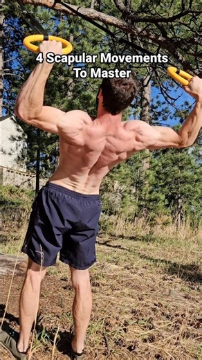 4 Scapula Exercises You Need To Master ✅️