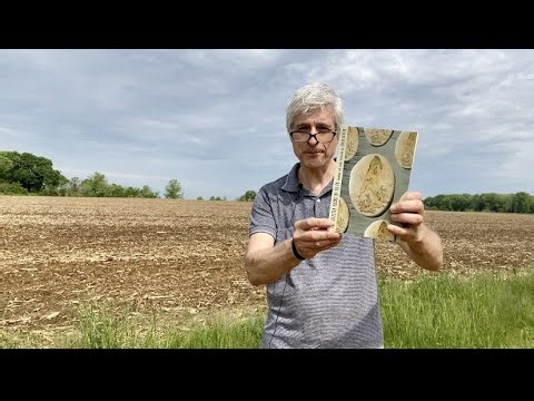 Poetry Passages 120: "Getting Free of Thoughts" by Tu Fu