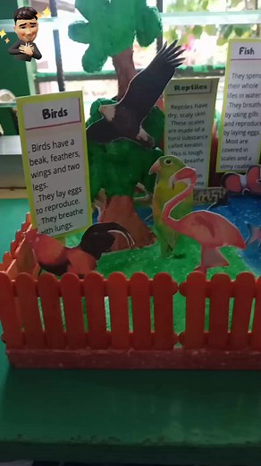 6.8K views · 16 reactions | #classification #Animals | Joseph Cardeño | Facebook