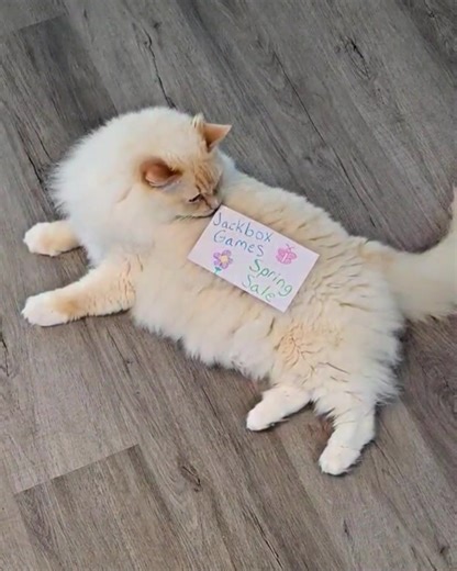 It's still the Spring Sale! Smell the flowers, pet your cat, play some games! 😻 Up to 60% off party games on our website and on Steam, now through 3/26! 🔗 Check out the link in our bio! #Jackbox #SpringSale #SteamSpringSale #JackboxSale