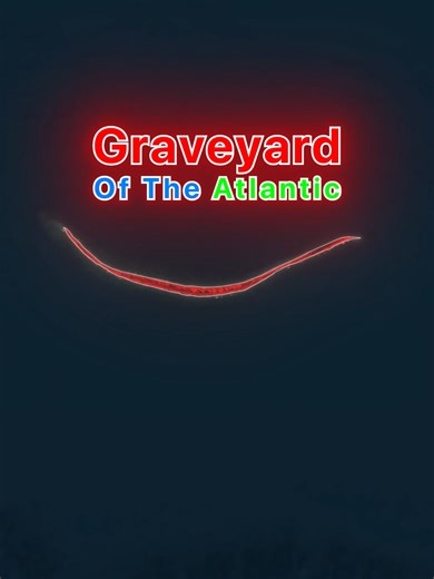 Exploring Sable Island: Home to Wild Horses