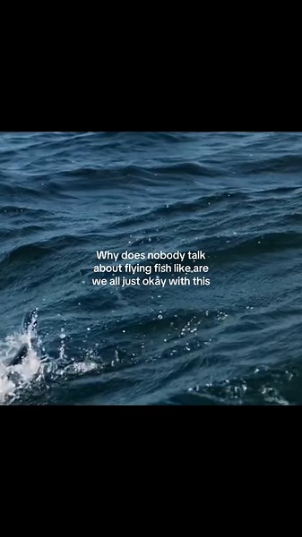Discover the Fascinating World of Flying Fish