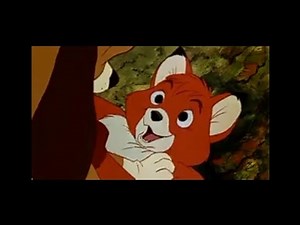 Simba (Bambi) Part 5: Simba makes a New Friend, Tod