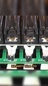 Walang machine, bubuyog lang ang security! | Jovan FPV