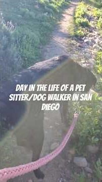 Day in the life of a dog walker/pet sitter ✨️ the best job in the world!