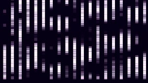 Download Purple row gradients going up and down on black background for free