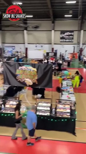 Who's ready for a reptile expo?? The Show Me Reptile Show is coming to Odessa. You don't want to miss this. | Show me reptile show