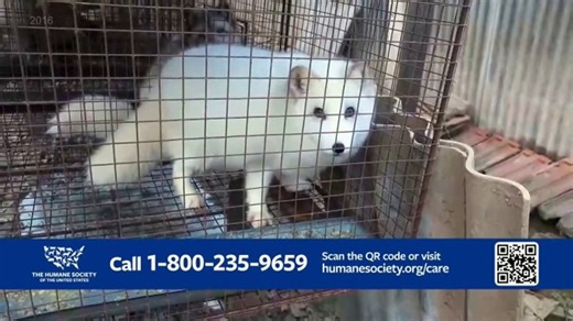 Humane Society of the United States TV Spot, 'Hope'