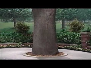 Barney and Friends - Barney gets shot by a Horse after frightening Peter