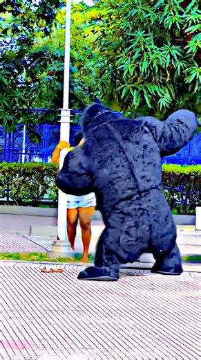 12K views · 168 reactions | Swapping pets with the fake gorilla 藍 #prank #prankvideos #funny #funnypranks #funnyvideos | streethumor02 | Facebook