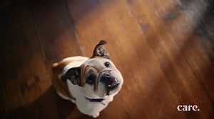 Care.com TV Spot, 'Pet Sitter'
