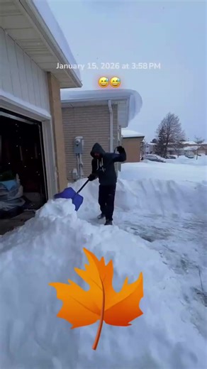 Canada Life: Humorous Moments and Experiences