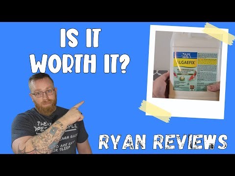 Watch This Before Buying This API POND ALGAEFIX Algae Control !