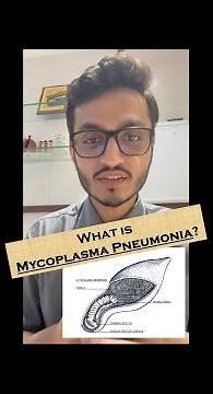What is Mycoplasma pneumonia ?