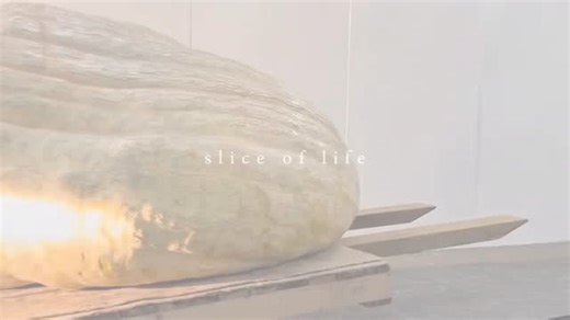 World's heaviest pumpkin grown by English brothers