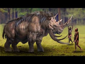 15 Biggest Animal Body Parts in The World