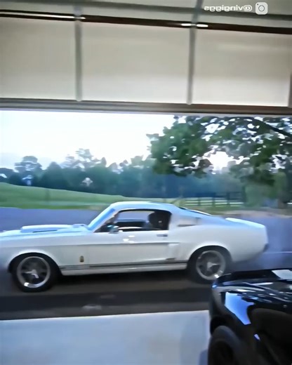 1967 ford mustang shelby gt500 classiccar #musclecars #musclecarsdaily #musclecarzone #musclecarsonly #musclecarspictures #oldcars #retrocars #classicmusclecars #americanmuscle #americanmusclecars #RetroRides #vintagevibes #MuscleCarMadness #carculture #oldschoolcool #LegendaryCars #fblifestyle | American Classic Car