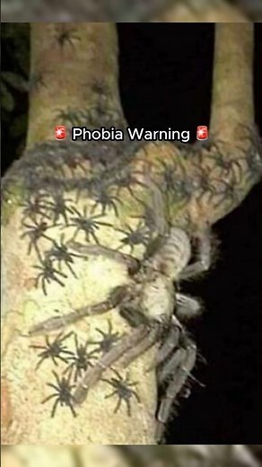 The Weirdest Photos From r/oddlyterrifying (Part 4)